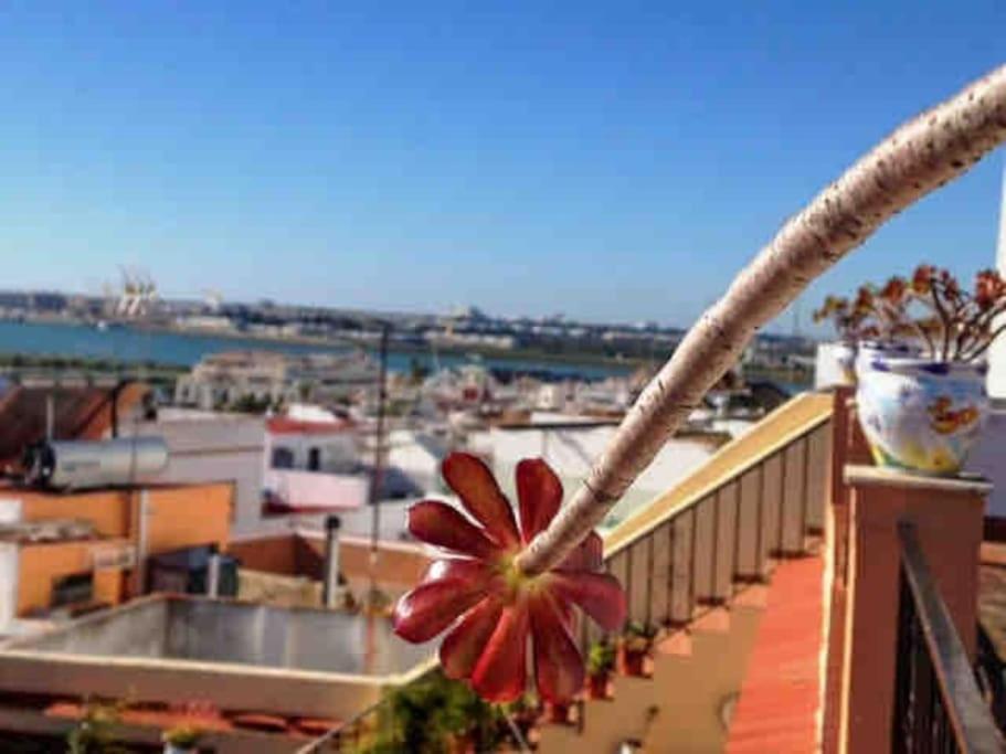 “Flor De Sal” Charming Traditional Andalusian House アヤモンテ エクステリア 写真